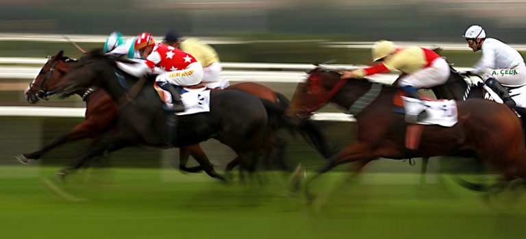 Matched betting horse racing