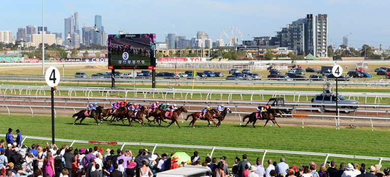 melbourne cup and matched betting