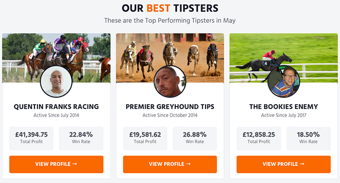 Best tipsters - Betting Gods
