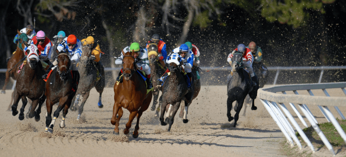 Past Preakness stakes winners